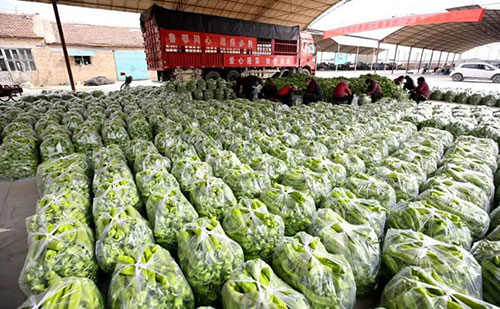 我是湖南長(zhǎng)沙蔬菜批發(fā)市場(chǎng)，買多少錢的農(nóng)藥殘留檢測(cè)儀合適？